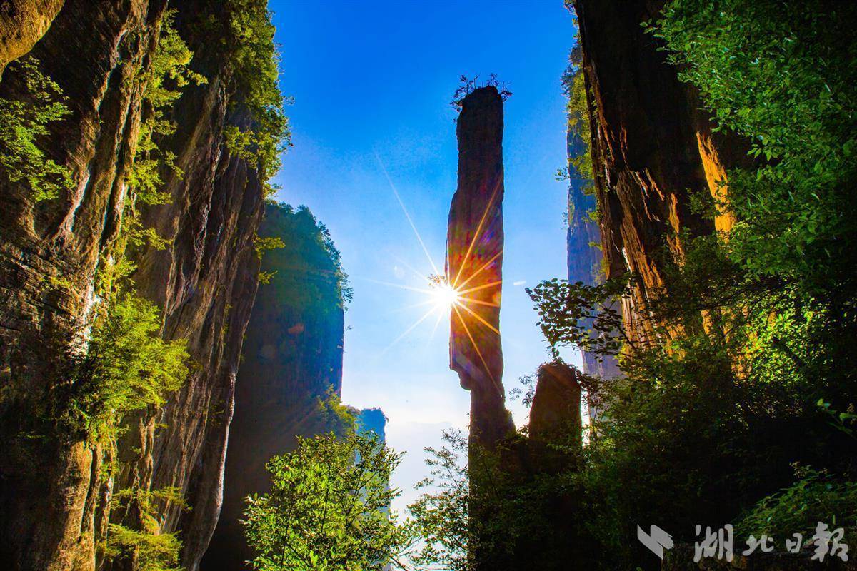 大满贯纵横四海水果机